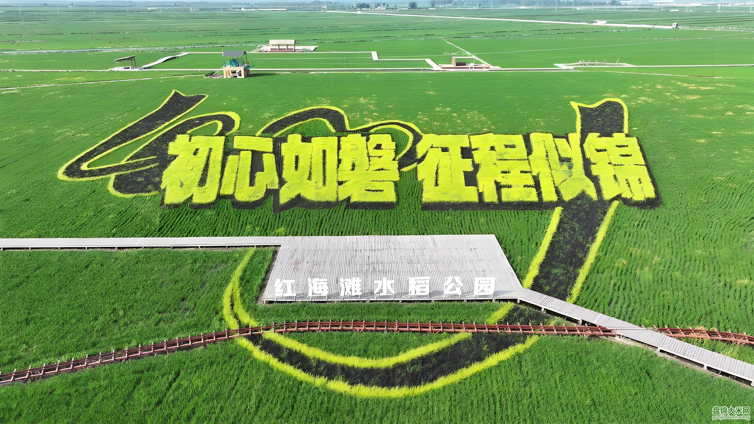 盘锦大米网