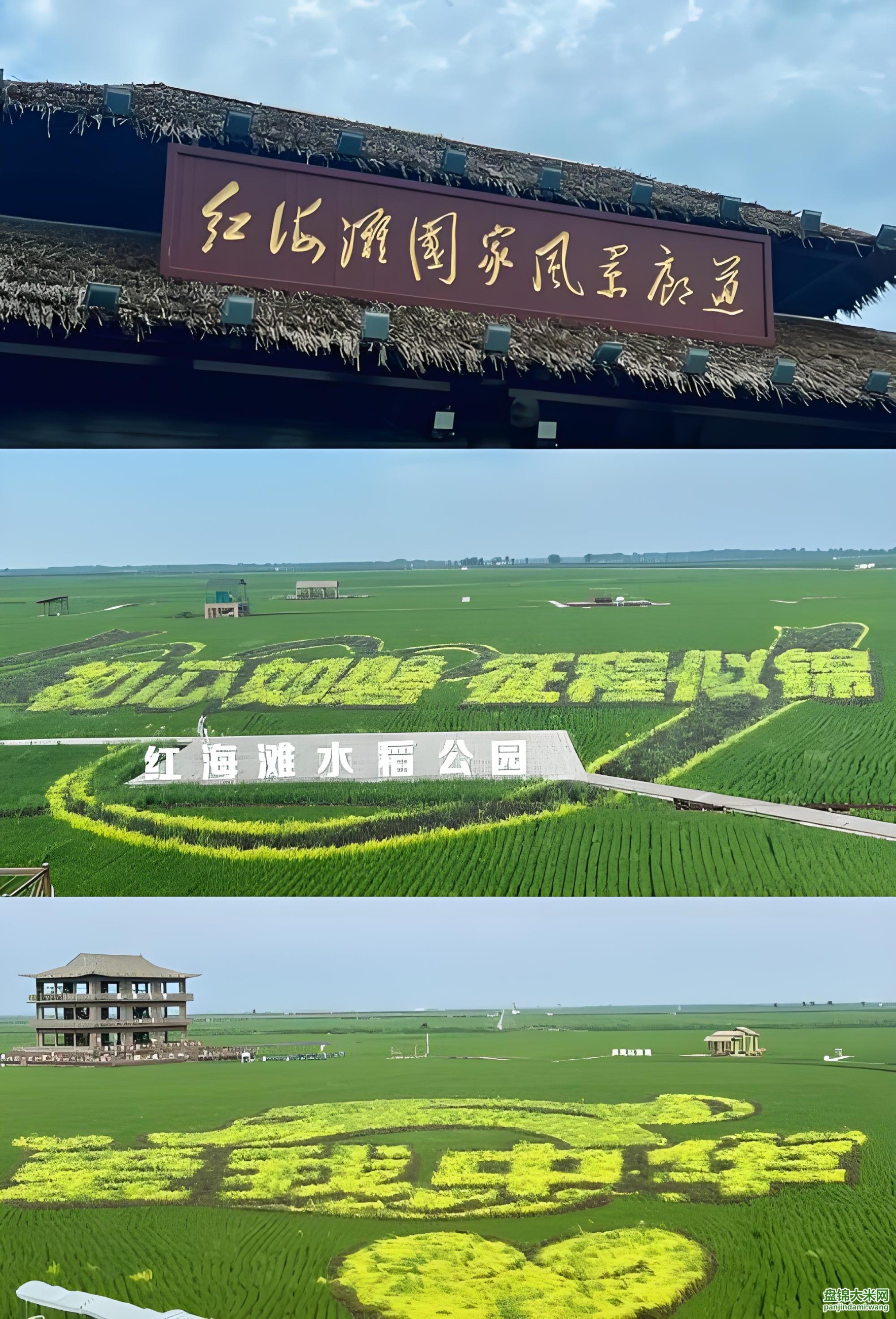 盘锦大米网