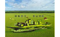 根植黑土 心生繁花：龙江“她”力量破土生金