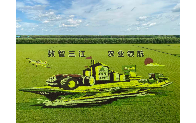 根植黑土 心生繁花：龙江“她”力量破土生金